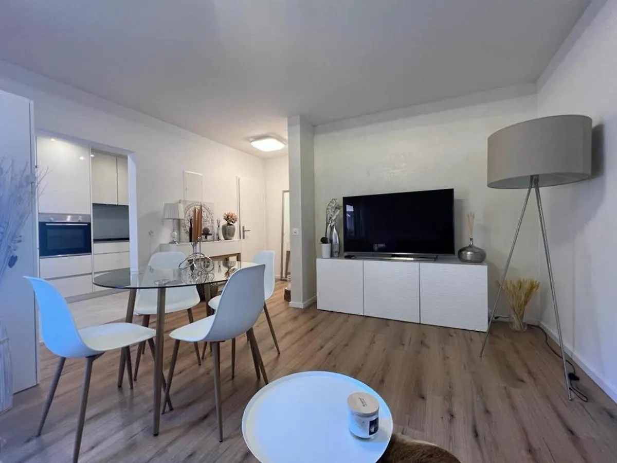 Stylish 1-Bedroom Condo Close To Exhibition Square Basel Apartment